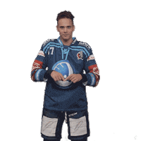 Heart Hockey Sticker by HC Škoda Plzeň
