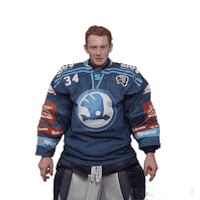 Hockey Swipe Up Sticker by HC Škoda Plzeň