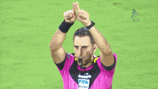GIF by IPFL