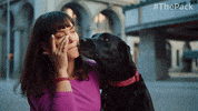 The Pack Dogs GIF by Amazon Prime Video