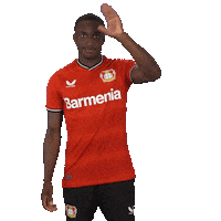 See You Goodbye Sticker by Bayer 04 Leverkusen