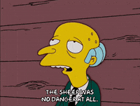 season 17 episode 13 GIF