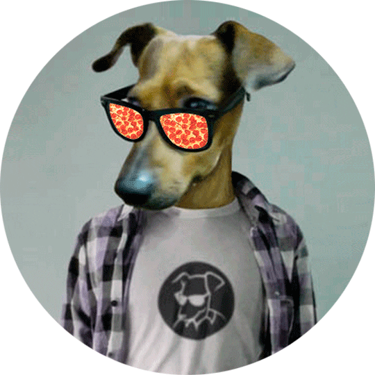 Melmoth_Azul giphyupload dog melmoth azul perro con gafas Sticker