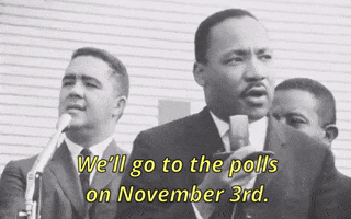 Election Day Mlk Jr GIF by GIPHY News