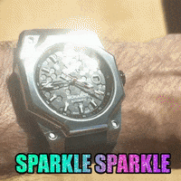 grittwatches sparkle shine luxury sparkles GIF