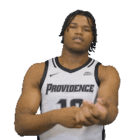 Ice Richard Sticker by Providence Friars