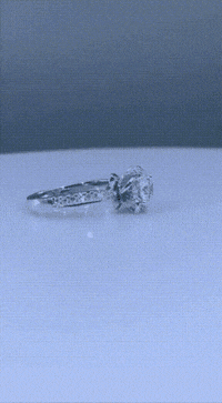 Life Love GIF by Shiv Shambu