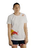 Sport Handball Sticker by Red Bull