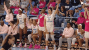 Excited North Carolina GIF by UNC Tar Heels