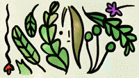 Branch Out