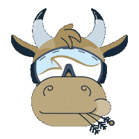 Cow Kuh Sticker by Engelberg.Titlis