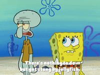 season 4 krusty towers GIF by SpongeBob SquarePants