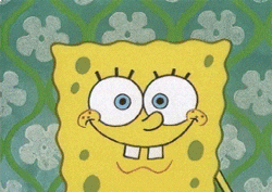 animation television GIF by SpongeBob SquarePants