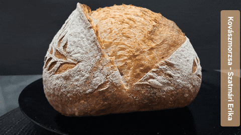 kovaszklub giphyupload bread sourdough bread kovászos kenyér GIF