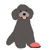 Toy Poodle Sticker