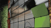 GIF by Oat Foundry