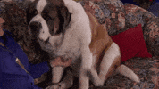 GIF by Hallmark Channel