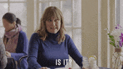 Baroness Von Sketch Show Cbc GIF
