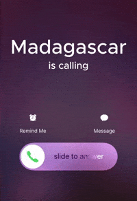 Madagascar GIF