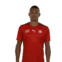 Celebration Goal Sticker by Swiss Football Association