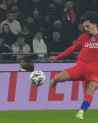 Paris Saint-Germain Psg GIF