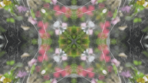 Art Love GIF by jorgemariozuleta