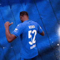Sport Bundesliga GIF by TSG Hoffenheim