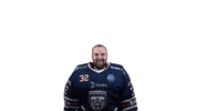Hockey Hoki GIF by Fehervar AV19