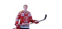 Goal Mal Sticker by Örebro Hockey