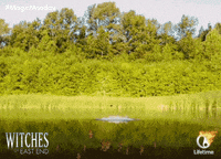 GIF by Lifetime
