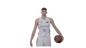 Real Madrid Basketball Sticker by ACB