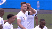 three lions celebration GIF by England