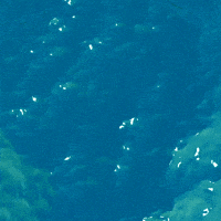 doom_scroll after effect the shape of water endless float GIF