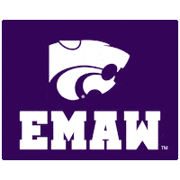 March Madness Wildcats Sticker by SportsManias