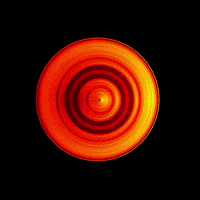 Design Loop GIF by roberthruska