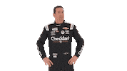 Confused Kyle Busch Sticker by Richard Childress Racing