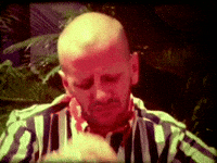 ringo starr beatles GIF by tylaum