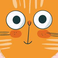 Happy Cat GIF by Franziska Höllbacher