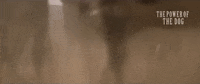 Movie GIF by NETFLIX