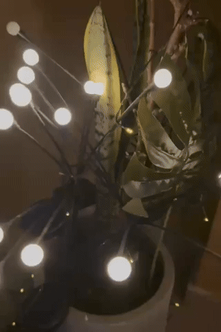 GIPHYGIP1 giphyupload GIF