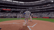 Home Run Celebration GIF by Toronto Blue Jays
