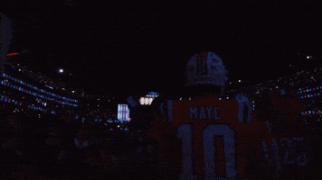 Football Nfl GIF by New England Patriots
