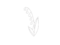 flowers lily Sticker