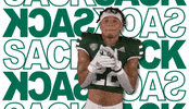 GIF by Ohio Bobcats