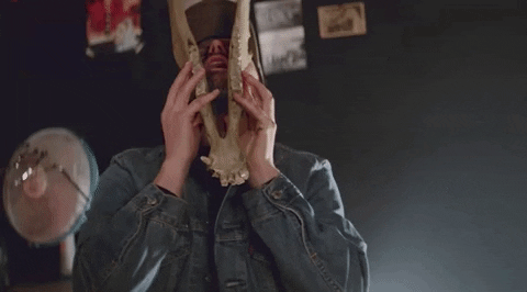 music video fan GIF by Peter Bjorn and John
