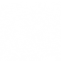 nushucrew female networking female business nushu GIF