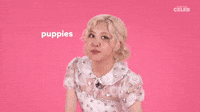 Puppies Puppies Puppies