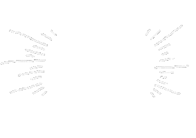 Circle Check Sticker by ASF brush