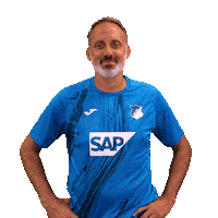 Sport Bundesliga Sticker by TSG Hoffenheim