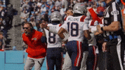 Mike Vrabel Football GIF by New England Patriots